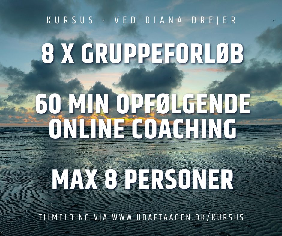 Støttegruppe efter mødet med narcissisme / psykopati